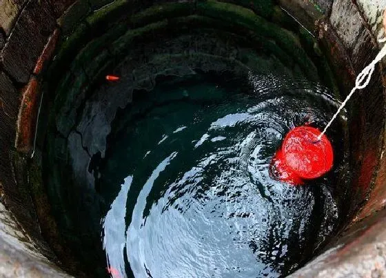 种植前景|承包1000亩土地种粮食赚钱吗（农村承包土地种粮食利润）