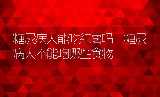 糖尿病人能吃红薯吗 糖尿病人不能吃哪些食物 | 养殖资料投稿