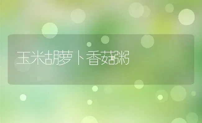 玉米胡萝卜香菇粥 | 养殖资料投稿