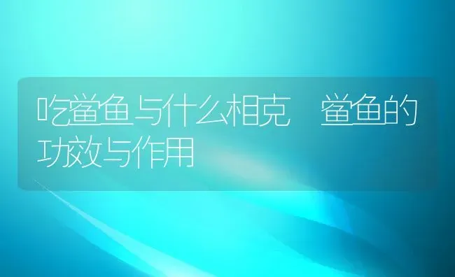 吃鲎鱼与什么相克 鲎鱼的功效与作用 | 养殖资料投稿