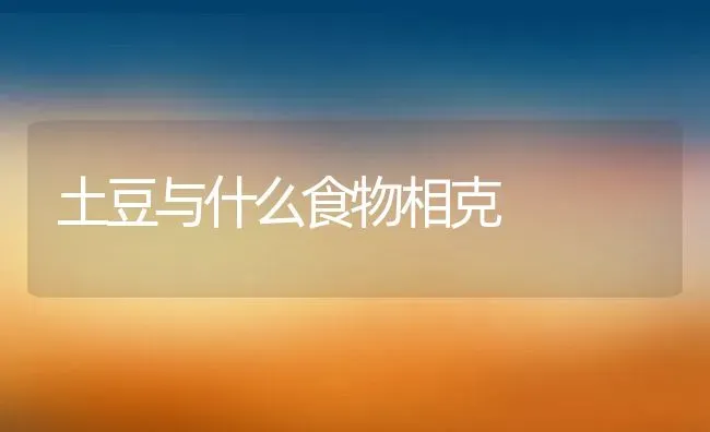 土豆与什么食物相克 | 养殖资料投稿