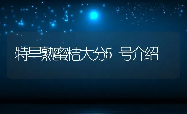 特早熟蜜桔大分5号介绍 | 养殖资讯
