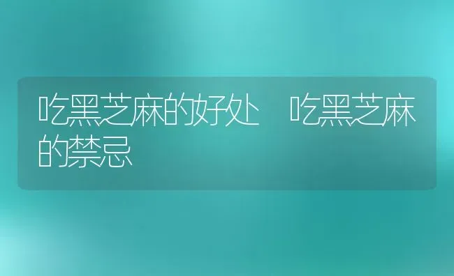 吃黑芝麻的好处 吃黑芝麻的禁忌 | 养殖资料投稿