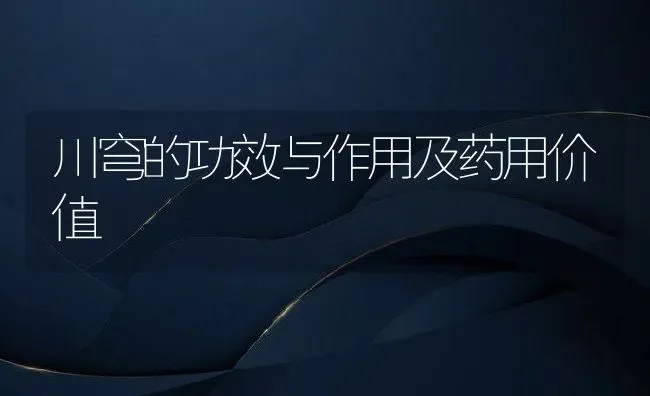 川穹的功效与作用及药用价值 | 养殖资料投稿