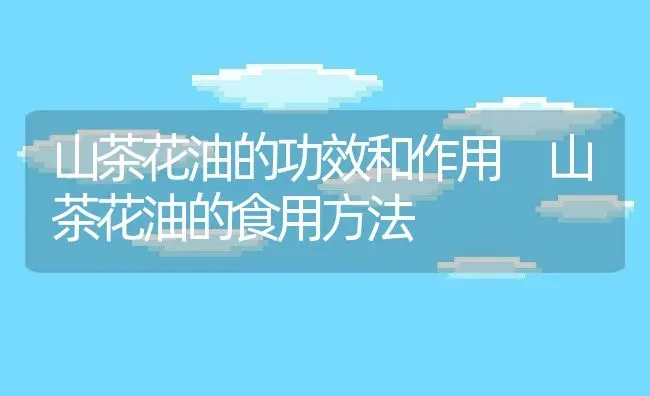 山茶花油的功效和作用 山茶花油的食用方法 | 养殖资料投稿