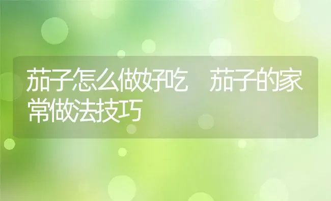 茄子怎么做好吃 茄子的家常做法技巧 | 养殖资料投稿