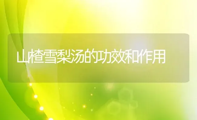 山楂雪梨汤的功效和作用 | 养殖资料投稿