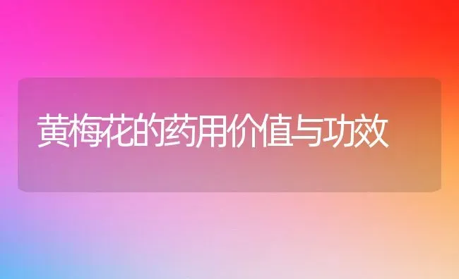 黄梅花的药用价值与功效 | 养殖资料投稿