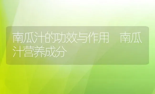 南瓜汁的功效与作用 南瓜汁营养成分 | 养殖资料投稿