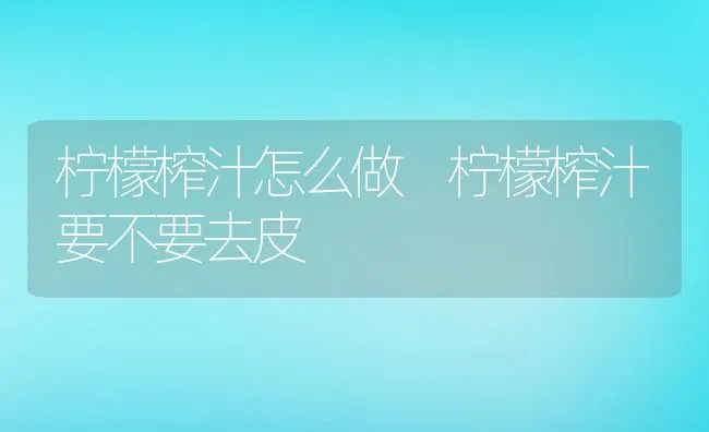 柠檬榨汁怎么做 柠檬榨汁要不要去皮 | 养殖资料投稿