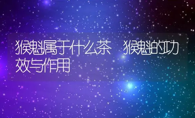 猴魁属于什么茶 猴魁的功效与作用 | 养殖资料投稿
