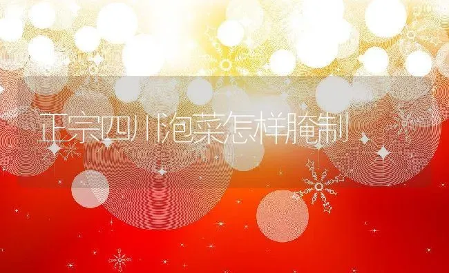 正宗四川泡菜怎样腌制 | 养殖资料投稿