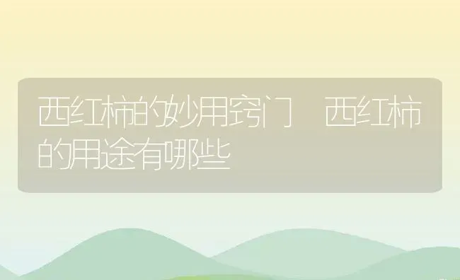 核桃仁怎么做好吃 核桃仁的食用方法 | 养殖资料投稿