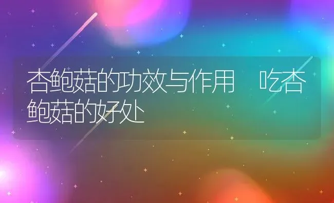 杏鲍菇的功效与作用 吃杏鲍菇的好处 | 养殖资料投稿
