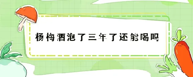 杨梅酒泡了三年了还能喝吗