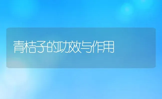 青桔子的功效与作用 | 养殖资料投稿