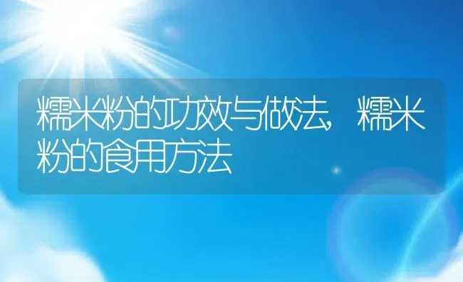 糯米粉的功效与做法,糯米粉的食用方法 | 养殖资讯