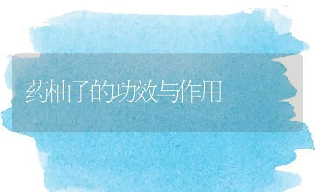 药柚子的功效与作用 | 养殖资料投稿
