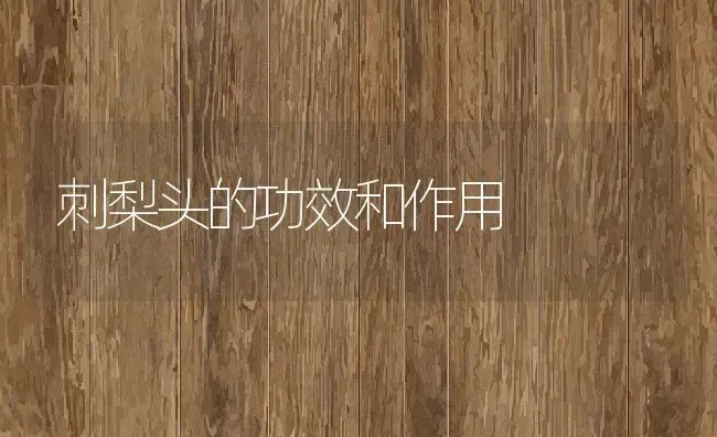 刺梨头的功效和作用 | 养殖资料投稿