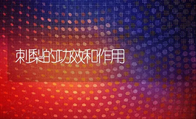 刺梨的功效和作用 | 养殖资料投稿
