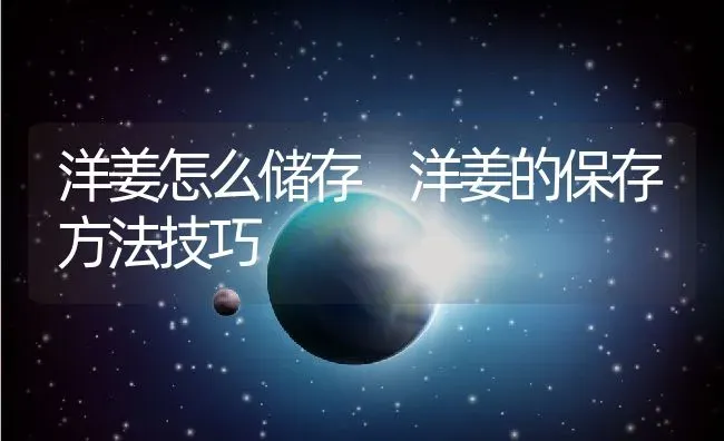 洋姜怎么储存 洋姜的保存方法技巧 | 养殖资料投稿