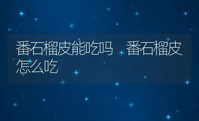 番石榴皮能吃吗 番石榴皮怎么吃 | 养殖资料投稿