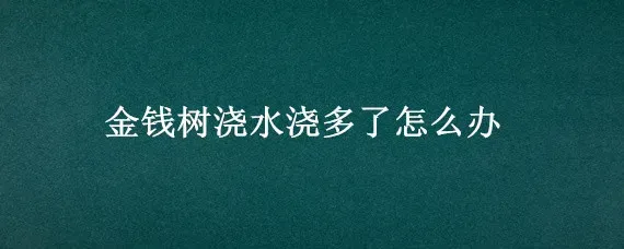 金钱树浇水浇多了怎么办