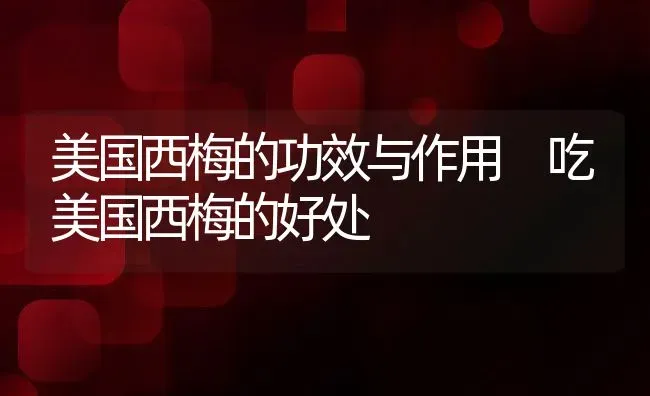 美国西梅的功效与作用 吃美国西梅的好处 | 养殖资料投稿