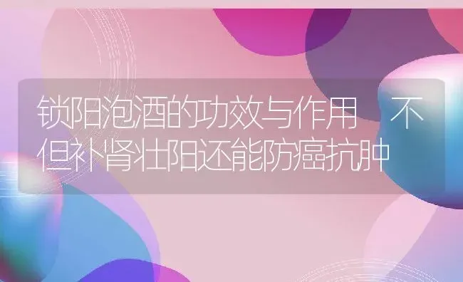 锁阳泡酒的功效与作用 不但补肾壮阳还能防癌抗肿 | 养殖资料投稿