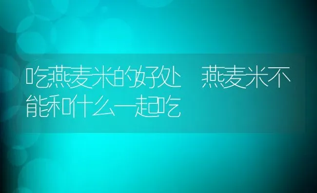 吃燕麦米的好处 燕麦米不能和什么一起吃 | 养殖资讯