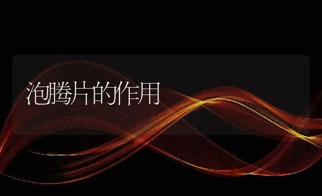 泡腾片的作用 | 养殖资料投稿