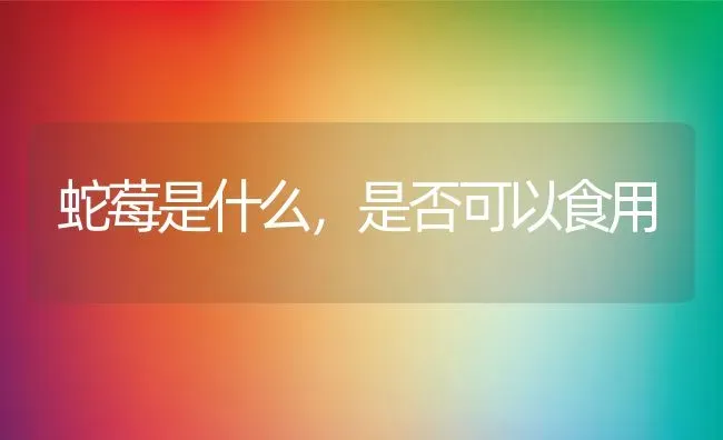 蛇莓是什么，是否可以食用 | 养殖资料投稿