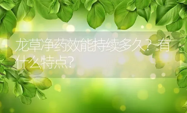 龙草净药效能持续多久？有什么特点？ | 养殖资料投稿