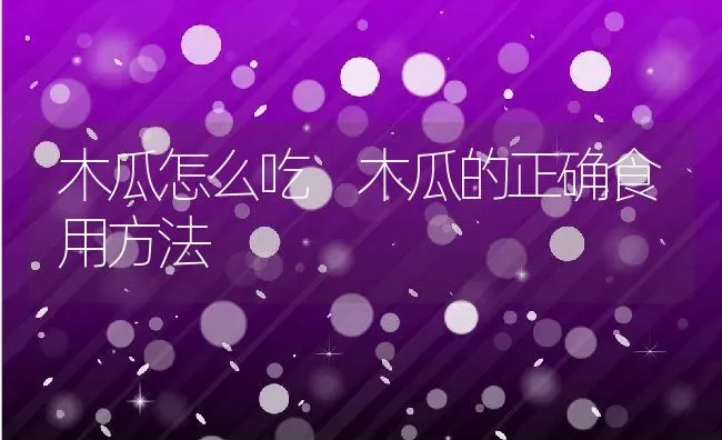 木瓜怎么吃 木瓜的正确食用方法 | 养殖资料投稿