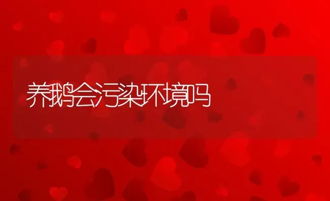 养鹅会污染环境吗 | 养殖资讯