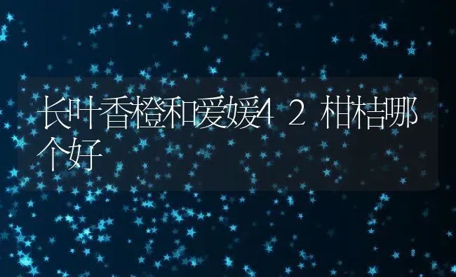 长叶香橙和爱媛42柑桔哪个好 | 养殖资讯