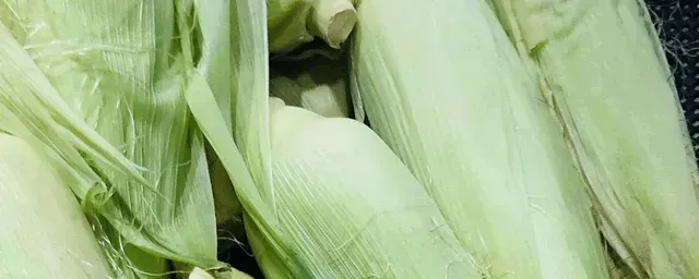 玉米去顶什么时候
