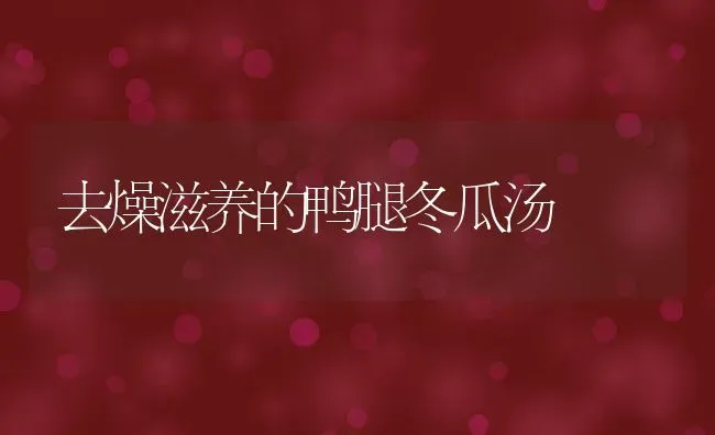 去燥滋养的鸭腿冬瓜汤 | 养殖资料投稿