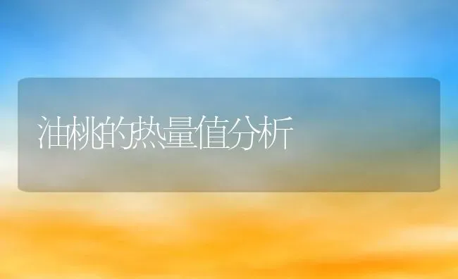 油桃的热量值分析 | 养殖资料投稿