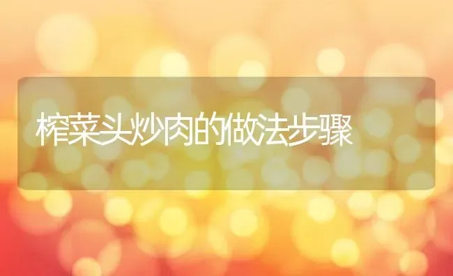 榨菜头炒肉的做法步骤 | 养殖资料投稿