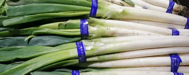 夏季大葱萎缩病如何防治