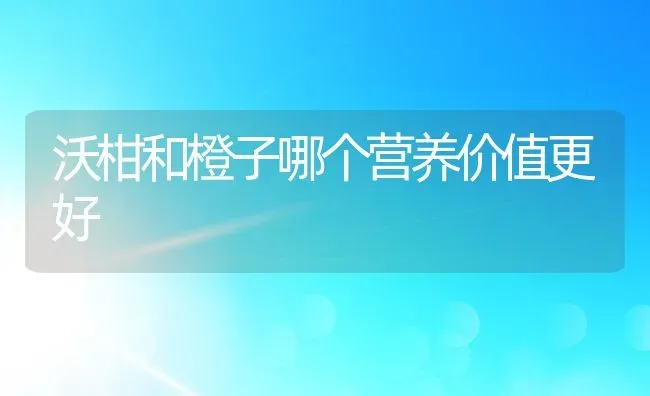 沃柑和橙子哪个营养价值更好 | 养殖资讯