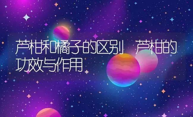 芦柑和橘子的区别 芦柑的功效与作用 | 养殖资料投稿