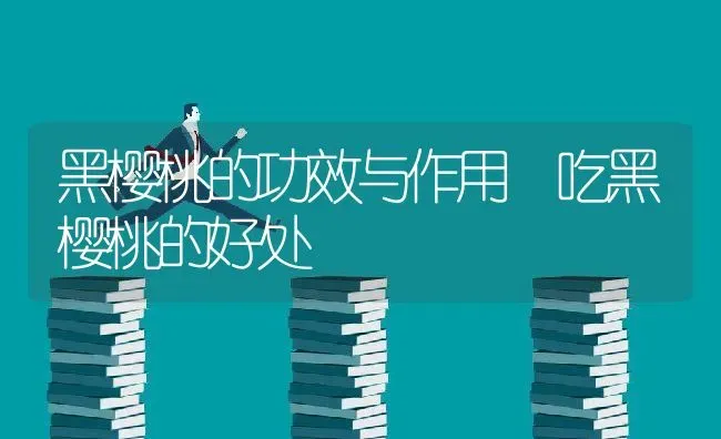 黑樱桃的功效与作用 吃黑樱桃的好处 | 养殖资料投稿