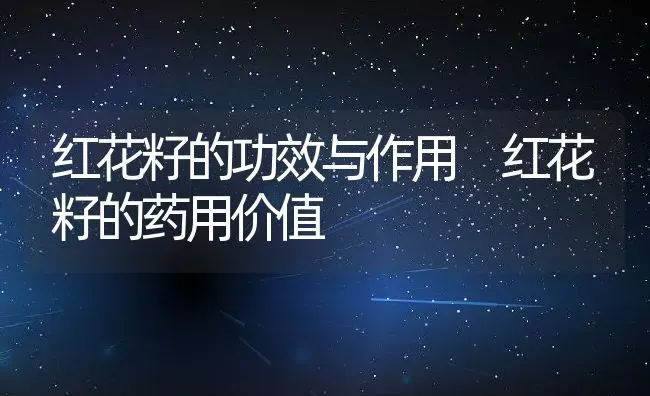 红花籽的功效与作用 红花籽的药用价值 | 养殖资料投稿