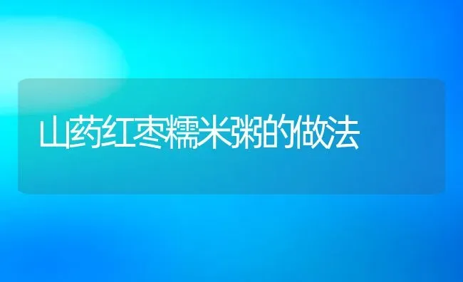 山药红枣糯米粥的做法 | 养殖资讯