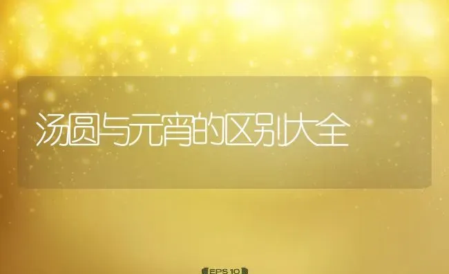 汤圆与元宵的区别大全 | 养殖资讯