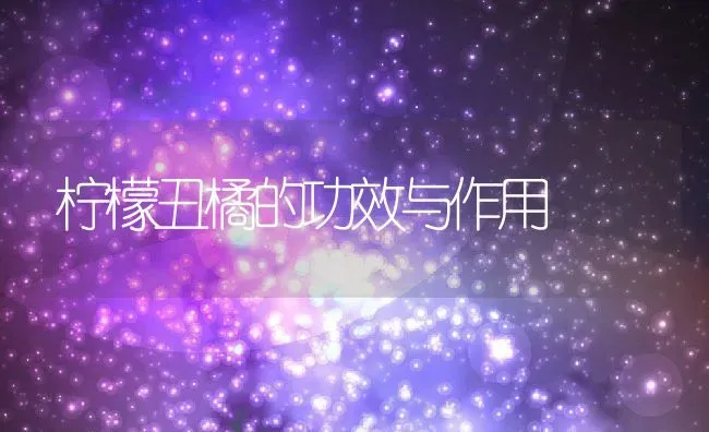 柠檬丑橘的功效与作用 | 养殖资讯