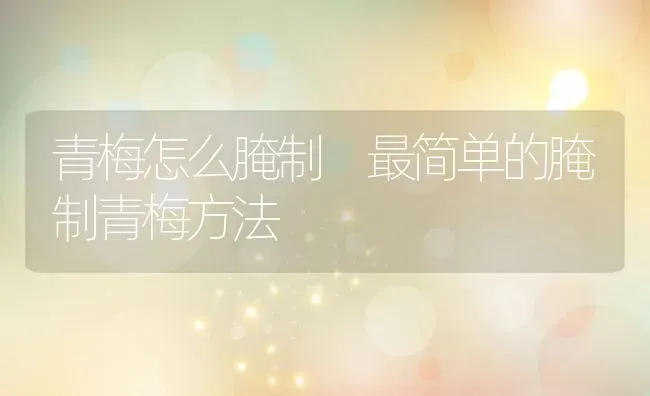 青梅怎么腌制 最简单的腌制青梅方法 | 养殖资料投稿