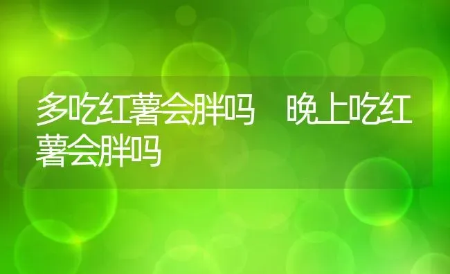 多吃红薯会胖吗 晚上吃红薯会胖吗 | 养殖资料投稿